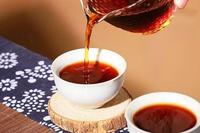 普洱茶知识之普洱茶滋味与生长的季节