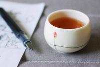 普洱茶知识：普洱茶春茶主要特征有哪些