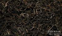 普洱茶的产地在哪里经期可以喝普洱茶吗