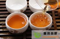 普洱茶选购方法购买普洱茶的五原则