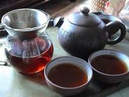 普洱茶历史起源：带你领略真正的普洱茶历史文化
