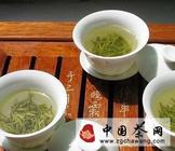 全能功效菊花茶多种茶饮方法