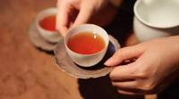 喝茶也要因人而异经常用眼，喝菊花茶和枸杞茶