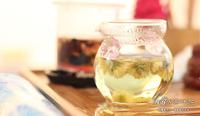 菊花茶也有等级品质之分如何挑选菊花茶