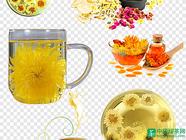 菊花茶功效与作用怎么样，长期饮用菊花茶功效与禁忌有哪