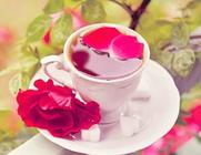盘点花茶的功效与作用常喝花茶美成一朵花