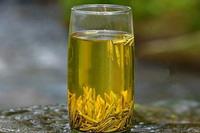 茶知识之关于黄茶的功效与作用的介绍