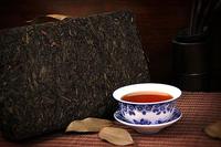 百年老茶如人有百岁茶中寿星当属黑茶