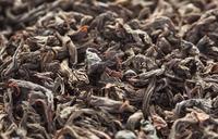 刮油神器——黑茶的保健功效