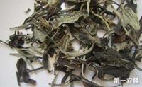 云南白茶有什么特殊的养生保健功效？