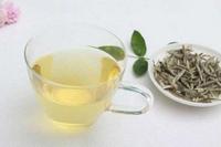 英国杂志称多喝白茶有益身体健康