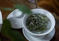 如何像茶艺师一样，泡出好喝的白茶？
