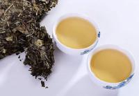 白茶是什么茶白茶属于什么茶种
