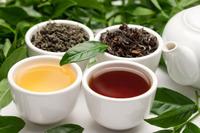中国主要茶类乌龙茶基本品质特征的介绍