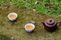 台湾盛产什么茶冻顶山上的冻顶乌龙茶