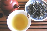 品评乌龙茶之干茶要看条色湿茶品香味