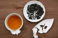 有关于乌龙茶中的水仙茶树品种的介绍