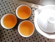 台湾盛产乌龙茶哪个品种的乌龙茶最好