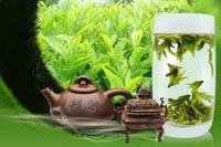 保健功效：常饮用绿茶带来的保健功效