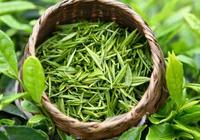绿茶中儿茶素摄入量不同健康效应也有不同