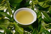 绿茶的功效与作用，喝茶也能健康保健