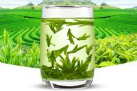 绿茶怎么喝才有减肥的效果
