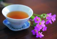 外国茶叶的泡制手法：日本绿茶怎样泡