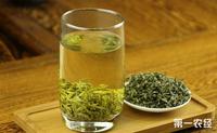 绿茶的种类有哪些？绿茶不同品种介绍