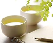 饮用什么绿茶减肥效果最好？