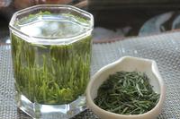 感受绿茶的魅力教您怎么样去品尝绿茶