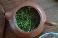 喝绿茶要注意了绿茶禁忌究竟有哪些呢