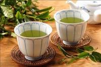 茶语话茶：绿茶喝多了反会致癌