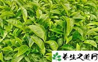 绿茶有什么保健养生功能