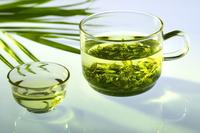 绿茶中的茶多酚有防治帕金森病之功效