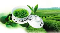 绿茶佳品之兰溪毛峰对人体的养生功效