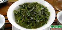 青岛崂山绿茶和南方绿茶的区别？