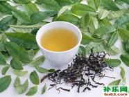 绿茶减肥几种高效喝法