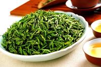 大量喝绿茶伤胃吗喝绿茶对胃有影响吗