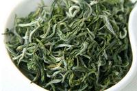 天山绿茶是哪里产的天山绿茶的产地历史揭秘