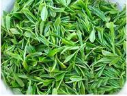 崂山绿茶价格多少钱一斤,崂山绿茶怎么样,崂山绿茶特点图片
