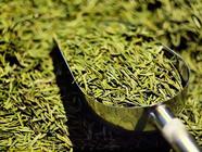 绿茶有助于健脾胃助消化