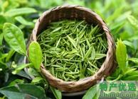 揭秘绿茶与普洱茶的减肥原理