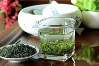 崂山绿茶的产地：中国维度最高的茶叶产区