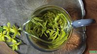 热感冒能喝绿茶吗
