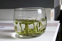 绿茶是什么茶绿茶有哪些种类