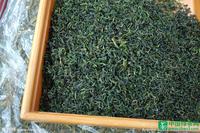 中国绿茶网：常见绿茶介绍8种人日常生活忌饮绿茶
