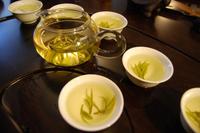 绿茶有哪一些品种在绿茶之中什么品种最好呢