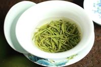绿茶有哪些品种：如何区分绿茶的种类