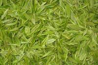 中国主要茶类之一绿茶的基本品质特征