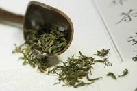 绿茶有哪些品种以及中国绿茶的种类